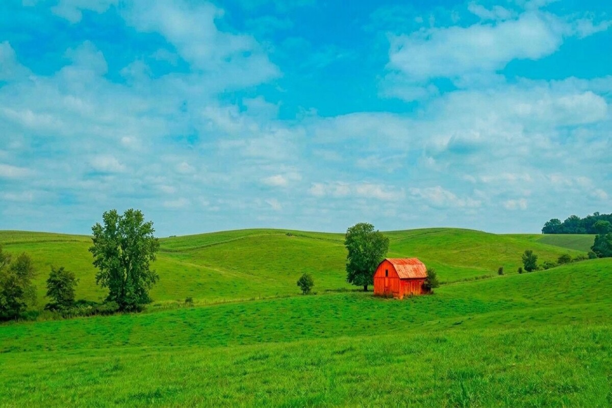 aumentar saturación y colores vivos en fotos edición